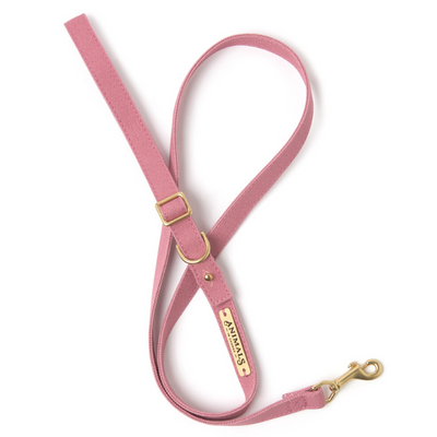 Dusty Pink | Easy Tie Flat Dog Leash