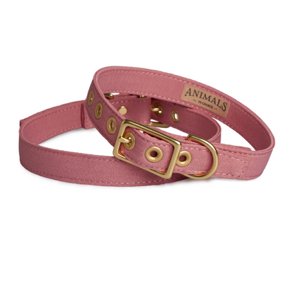 Dusty Pink + Brass | All Weather Dog Collar