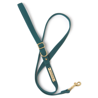 Forest Green | Easy Tie Flat Dog Leash