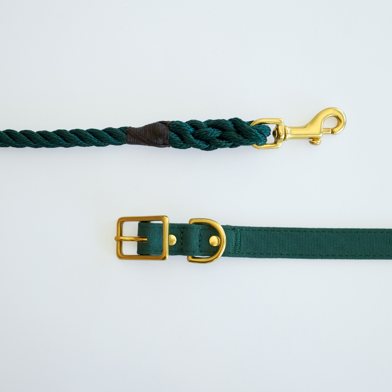 Forest Green + Brass | All Weather Dog Collar