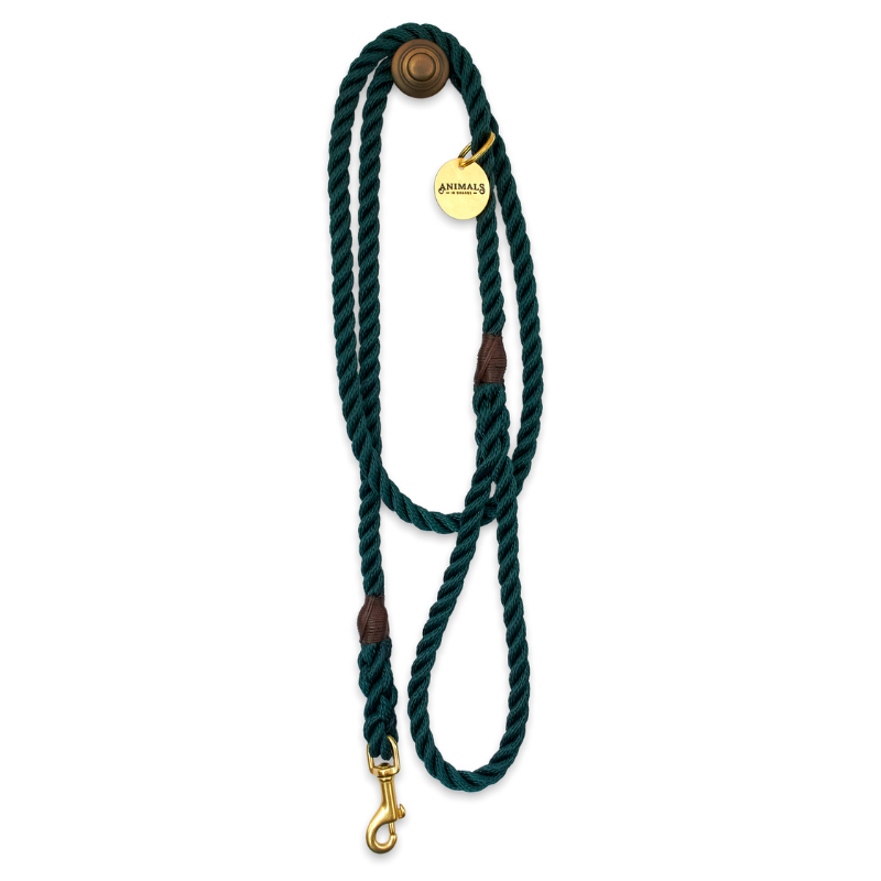 Forest Green + Brass | All Weather Rope Dog Leash