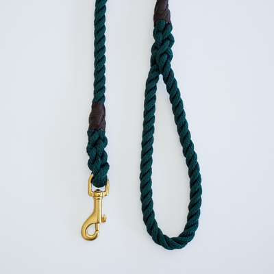 Forest Green + Brass | All Weather Rope Dog Leash