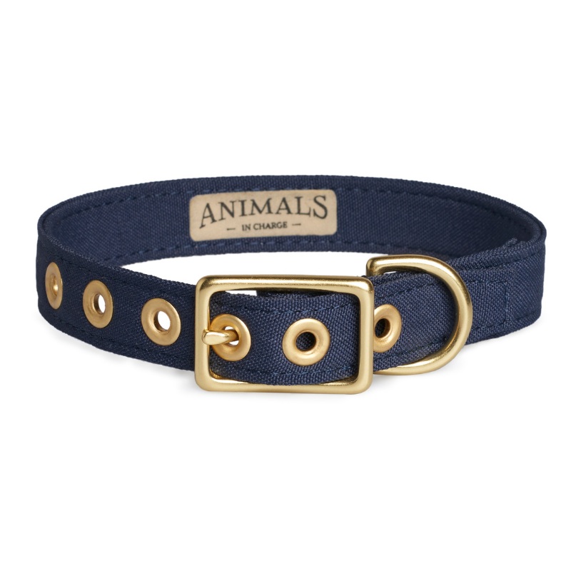 Navy + Brass | All Weather Dog Collar