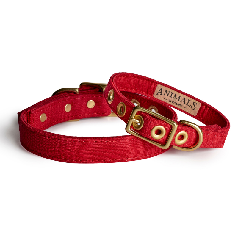 Red + Brass | All Weather Dog Collar