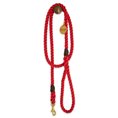 Red + Brass | All Weather Rope Dog Leash