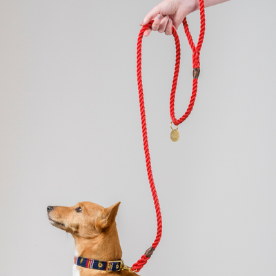 Red + Brass | All Weather Rope Dog Leash