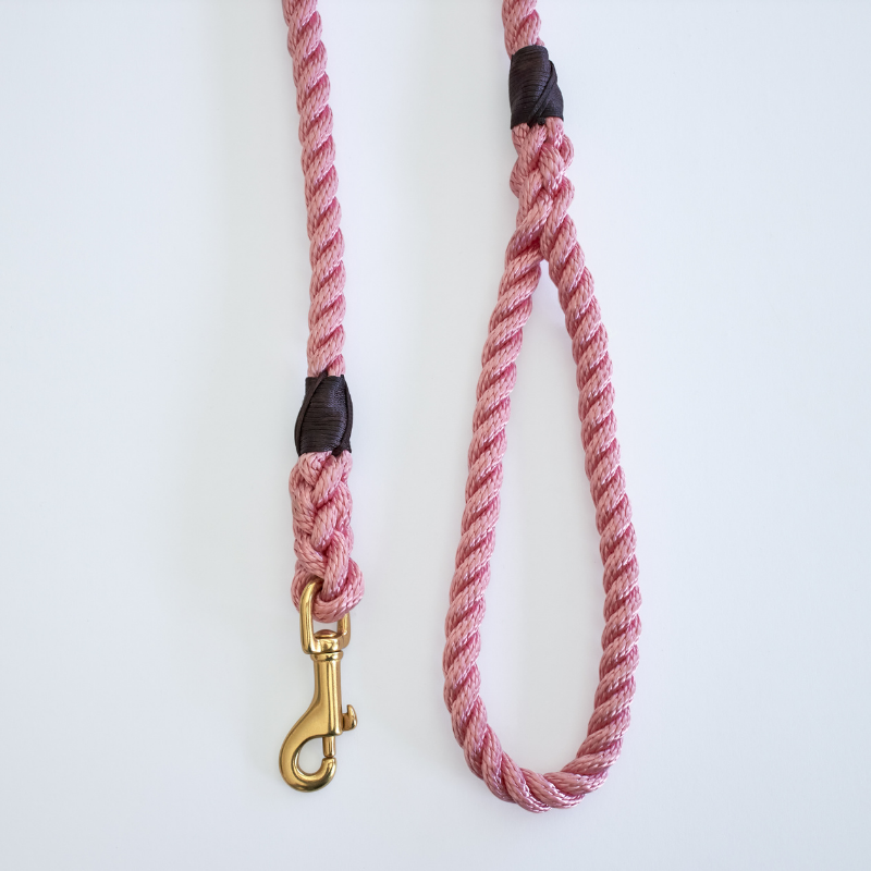 Rose Pink + Brass | All Weather Rope Dog Leash