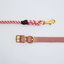 Rose Pink + Brass | All Weather Rope Dog Leash