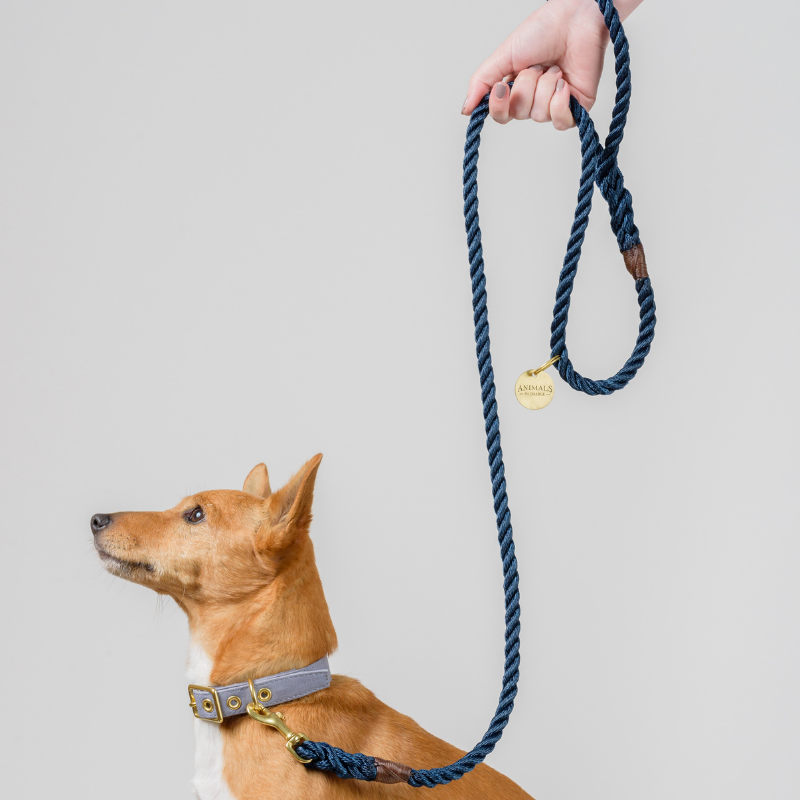 Royal Navy + Brass | All Weather Rope Dog Leash