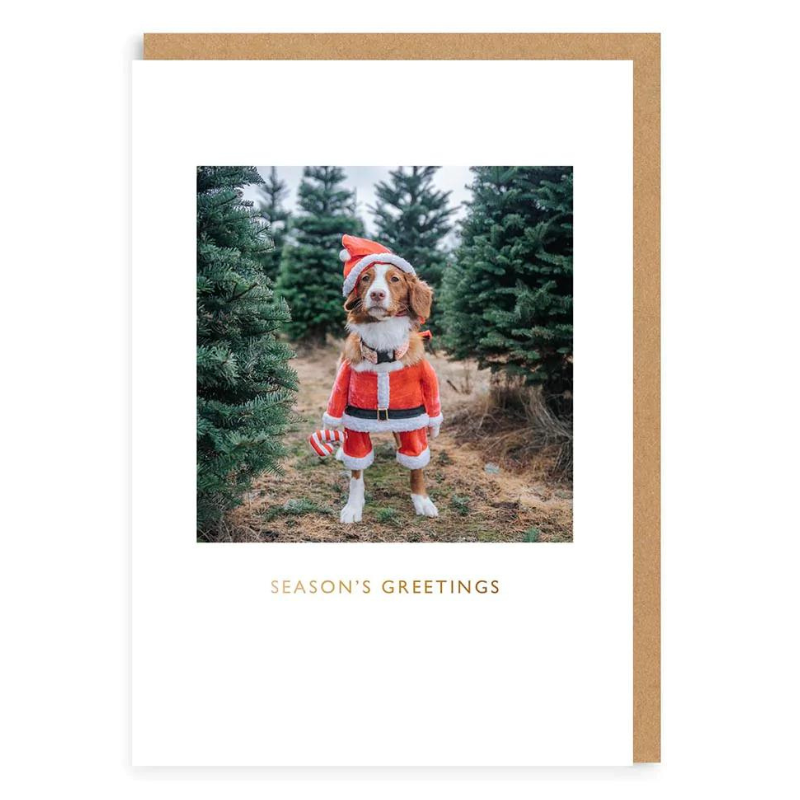 Christmas Card | Season's Greetings