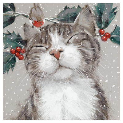 Christmas Card Pack | Nipping At Your Nose