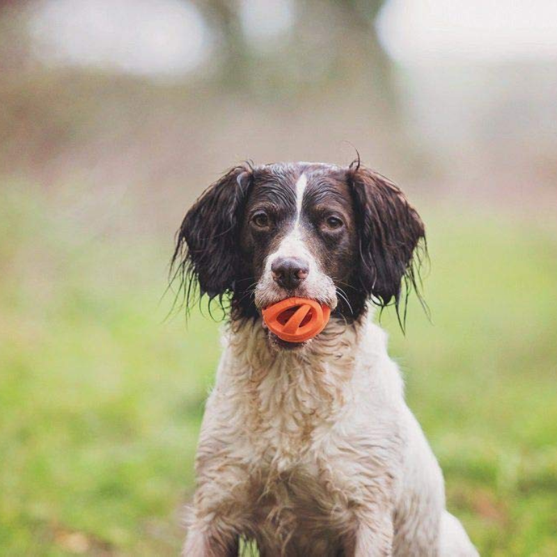 Breathe Right Fetch Balls | 2 Pack