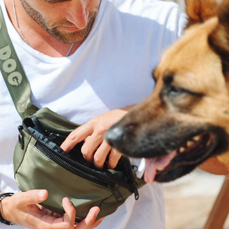 DOG Belt Bag | Olive