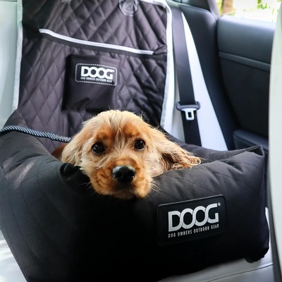 Dog Car Seat