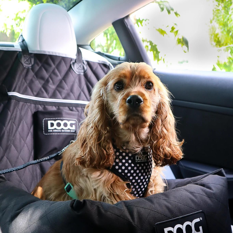 Dog Car Seat | Small