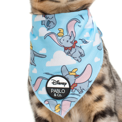 Dumbo In The Clouds | Dog Bandana