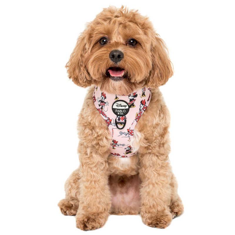 Minnie Mouse | Adjustable Dog Harness