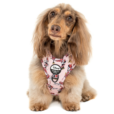 Minnie Mouse | Adjustable Dog Harness