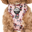 Minnie Mouse | Adjustable Dog Harness