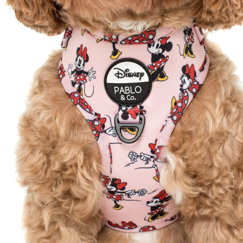 Minnie Mouse | Adjustable Dog Harness