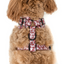 Minnie Mouse | Adjustable Dog Harness