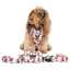 Minnie Mouse | Adjustable Dog Harness