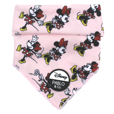 Minnie Mouse | Dog Bandana