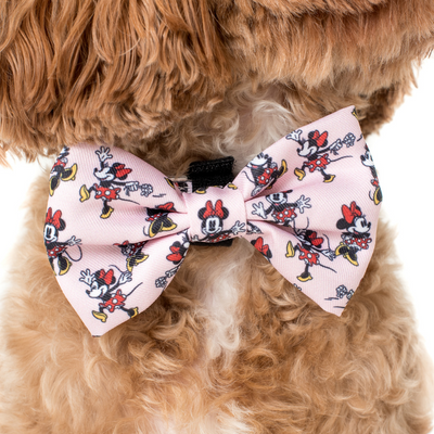 Minnie Mouse | Dog Bow Tie
