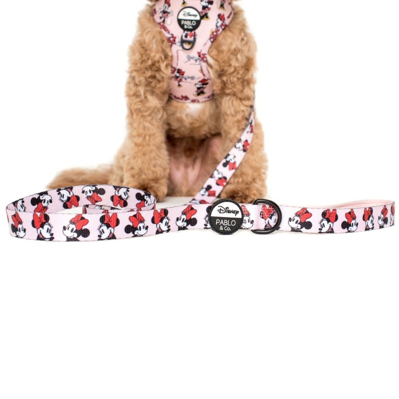 Minnie Mouse | Dog Leash