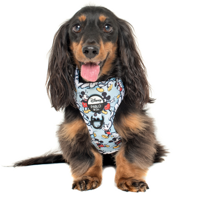 The Original Mickey Mouse | Adjustable Dog Harness
