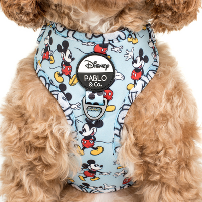 The Original Mickey Mouse | Adjustable Dog Harness