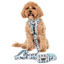 The Original Mickey Mouse | Adjustable Dog Harness