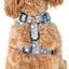 The Original Mickey Mouse | Adjustable Dog Harness