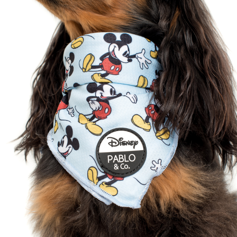 The Original Mickey Mouse | Dog Bandana