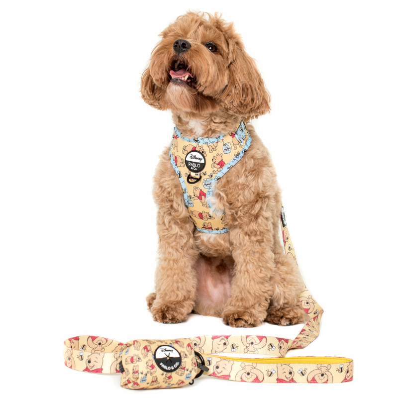 Winnie The Pooh & Bees | Adjustable Dog Harness