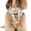 Winnie The Pooh & Bees | Adjustable Dog Harness