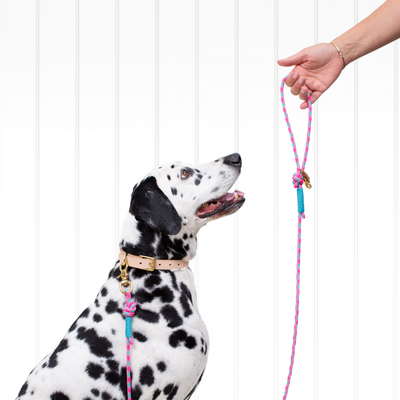 Dog Rope Lead | Tokyo