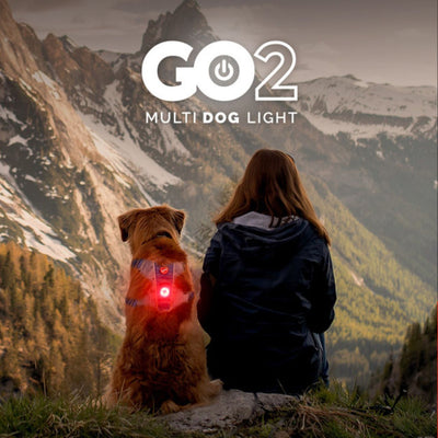 Go-2 Dog Light