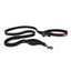 Road Runner Dog Leash - Peticular