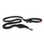 Road Runner Dog Leash