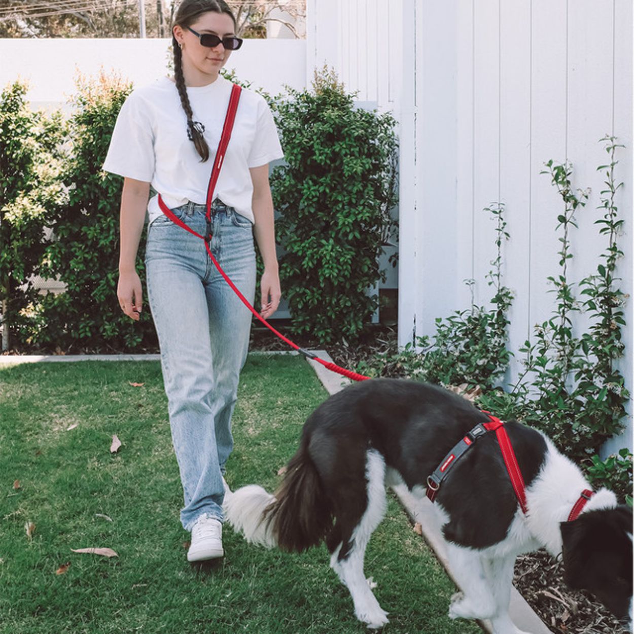 Road Runner Dog Leash