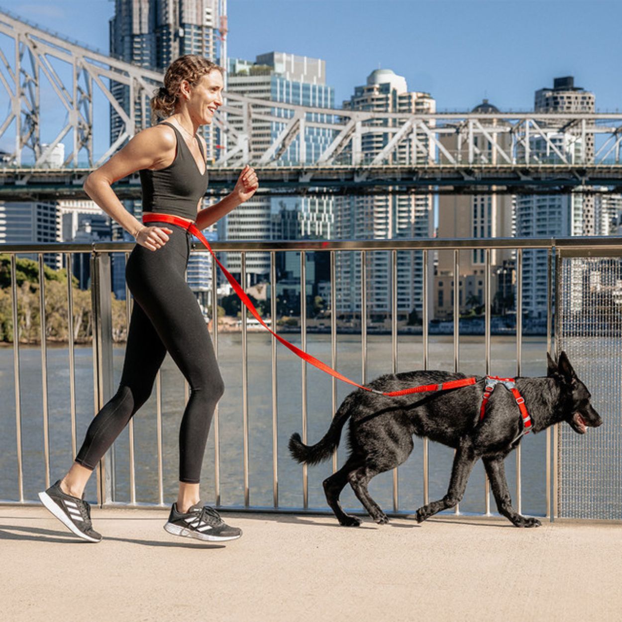 EzyDog  Road Runner Running Dog Leash – Peticular
