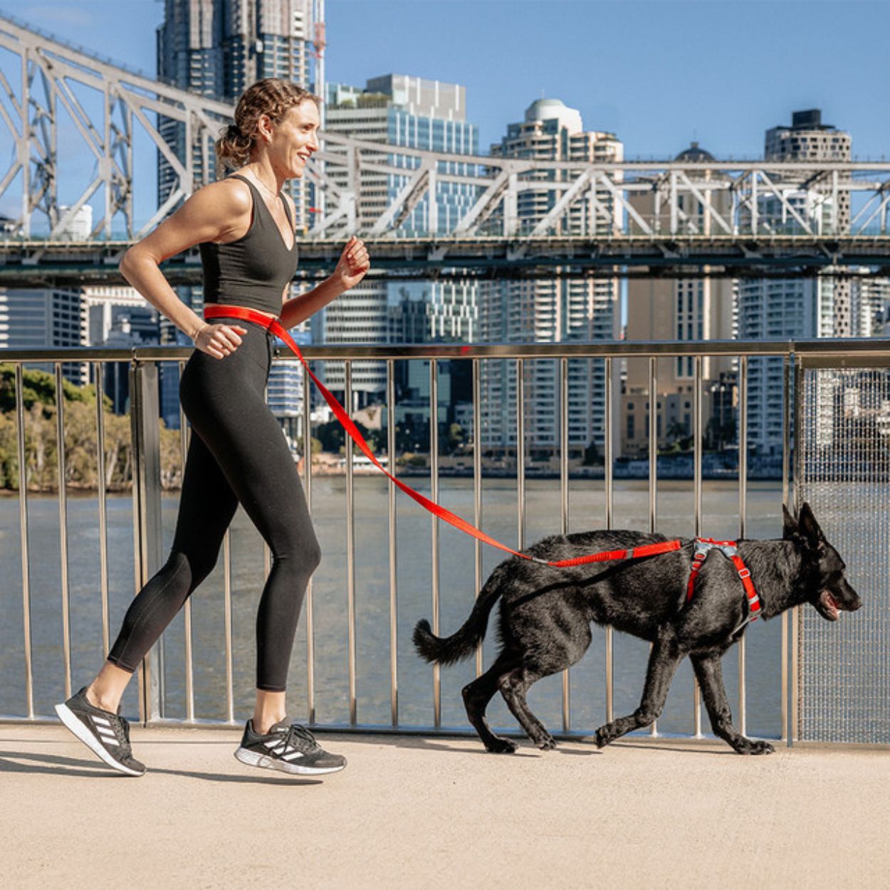 Road Runner Dog Leash