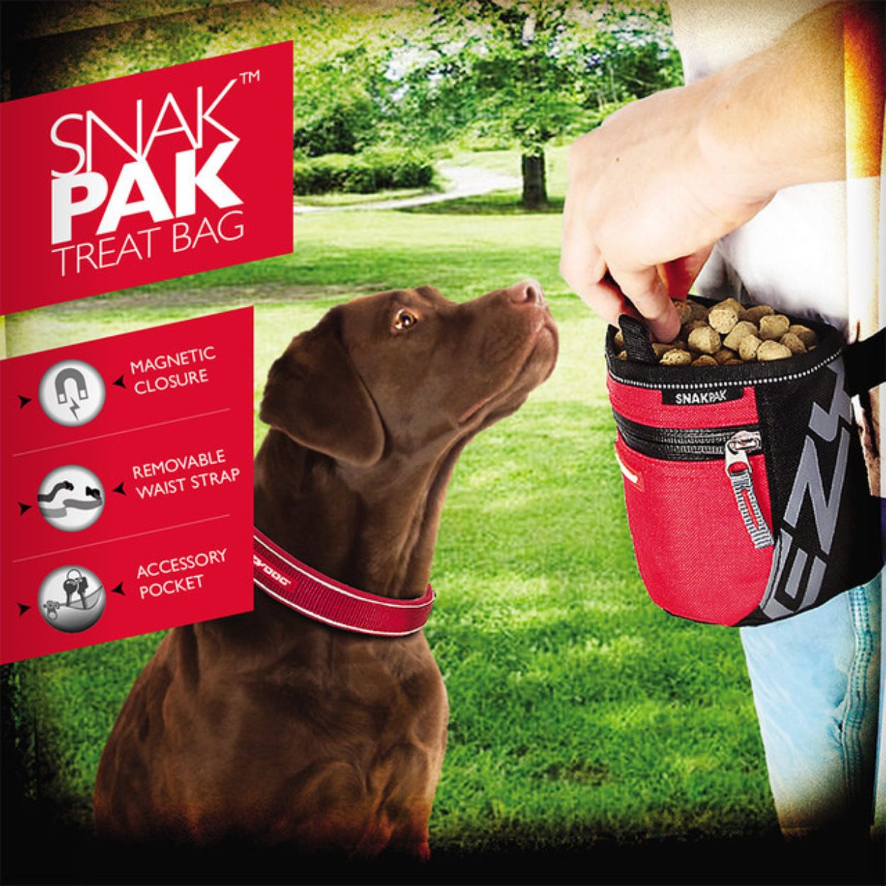 SnakPak Dog Treat Bag | Red