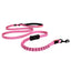 Zero Shock Bungee Dog LITE Leash - Peticular