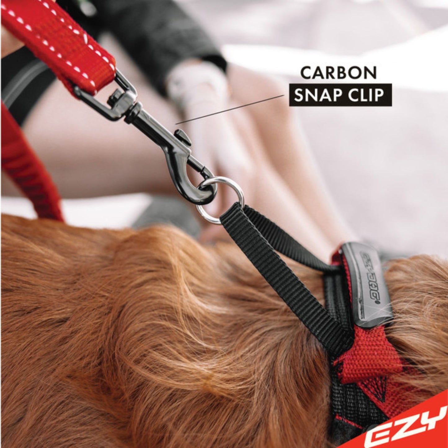 Zero Shock Absorbing Dog Leash - short