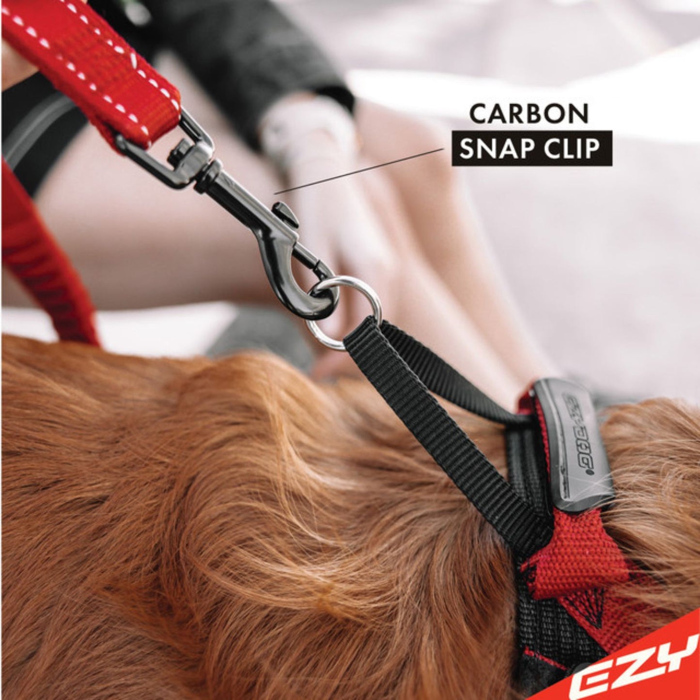 Zero Shock Bungee Dog Leash