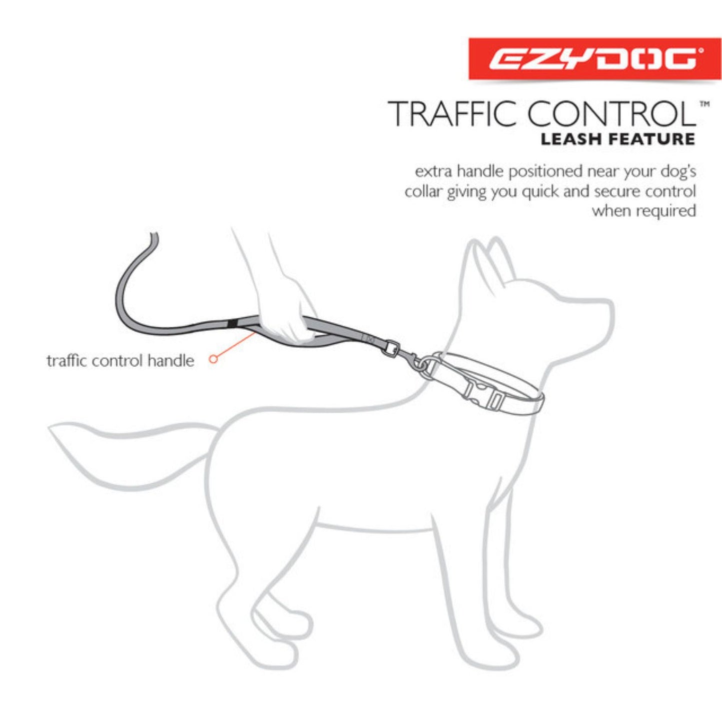 Zero Shock Absorbing Dog Leash - short