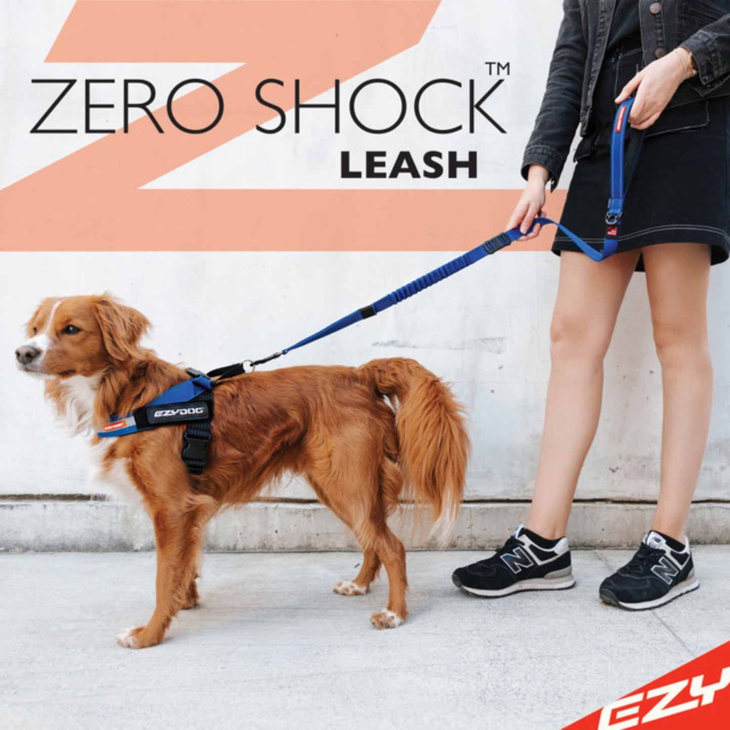 Zero Shock Absorbing Dog Leash - short