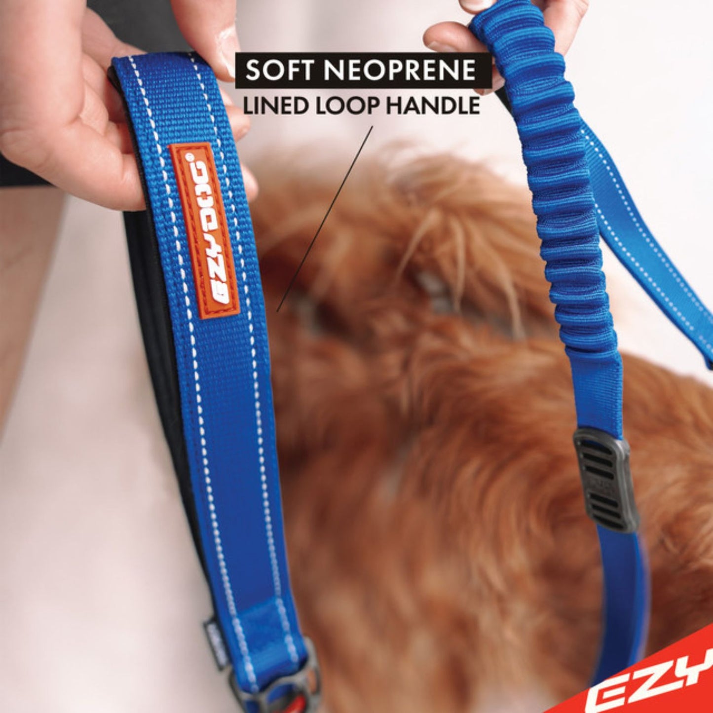 Zero Shock Absorbing Dog Leash - short